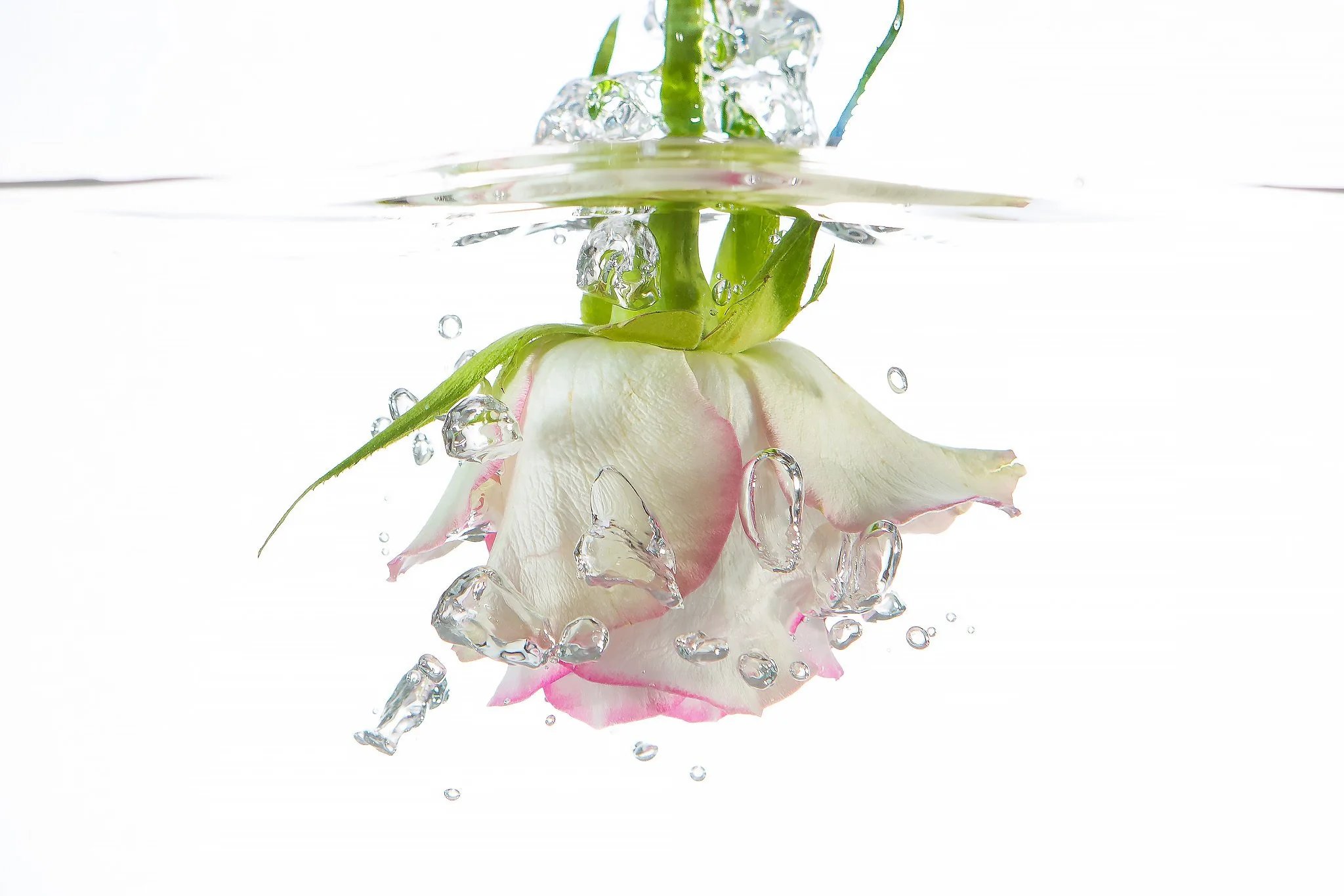 portfolio-misc15.webp